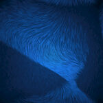 深蓝色毛绒面料纹理特写