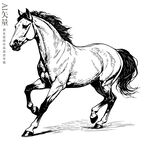 奔跑的骏马钢笔画马铅笔画素描