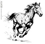 奔腾骏马铅笔画马素描手绘马年