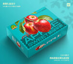 苹果包装 红富士礼盒