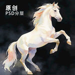 白马 马到成功 马 马年