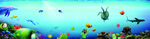 海底世界 多彩海底世界景观