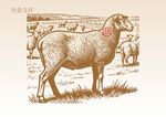 手绘羊版画