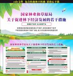 关于促进林下经济发展的若干措施