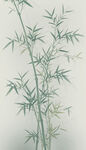 水墨竹子