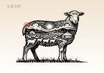 手绘草原羊插画