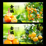 金橘