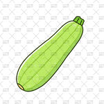 手绘绿色西葫芦