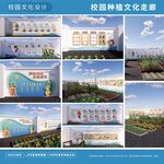 校园种植文化走廊
