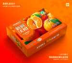 沃柑包装 蜜桔礼盒