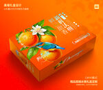 沃柑包装 蜜桔礼盒