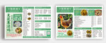 绿色清新菜单设计模板