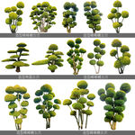 造型棒棒糖亮晶女贞