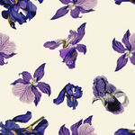 紫色鸢尾花图案无缝背景