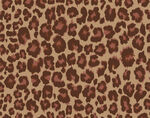 豹纹图案纹理背景图