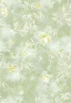 淡绿色花卉纹理背景图