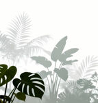 雾气磨砂膜效果绿植贴图