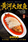 黄河大鲤鱼 