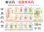 中药大全之解表发散风寒药
