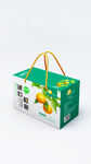 绿色水果手提礼品袋