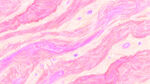 梦幻粉色水彩纹理背景