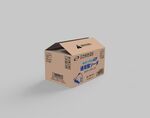 棕色纸箱包装模型展示
