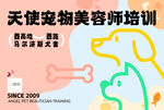 天使宠物美容师培训海报