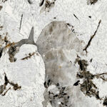 地板 新品奢华石纹 高端大图 