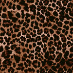 豹纹图案纹理背景