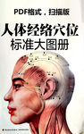 人体经络标准穴位图