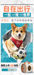 萌宠柯基的自在出行时刻