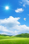 蓝天白云下的绿色原野