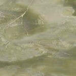 现代 新传高雅石纹 豪华新图 