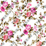 水彩花大牌花手绘花