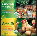 农家土鸡