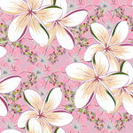 粉色背景的鸡蛋花图案