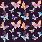 多彩蝴蝶图案背景