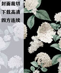 黑色背景上的白色花卉图案