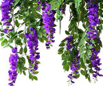 垂挂紫藤花 清新自然美