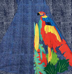 牛仔纹彩色鹦鹉