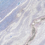 高端 轻奢新款石纹 高档大图 