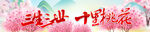 桃花节横幅 