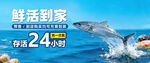 鲜活海鲜24小时速达