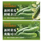 新鲜黄瓜 鲜嫩多汁超爽口