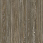 地板 高档新传木纹 清晰大图 