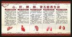 中医养生知识宣传栏