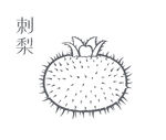 手绘刺梨图