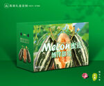 甜瓜包装 博洋蜜瓜礼盒