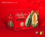 甜瓜包装 博洋蜜瓜礼盒