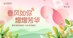 春风如你绽放芳华海报